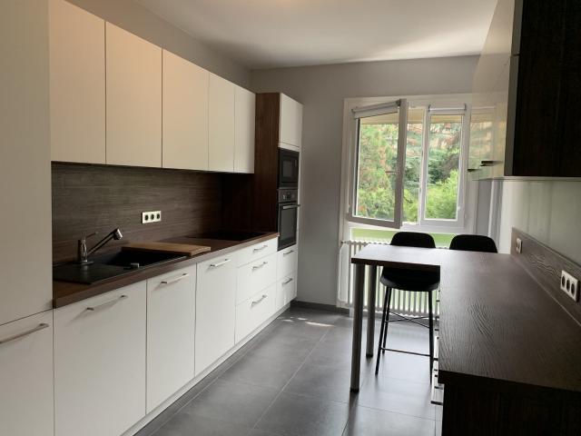 Location Appartement Rue Docteur Edmond Locard, Lyon