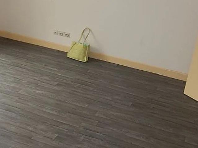 Location Appartement Rue Danielle Casanova, Toulouse