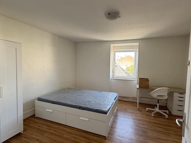 Location Appartement Rue de Geispolsheim, Strasbourg