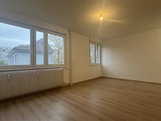 Location Appartement Rue de Flandre, Strasbourg