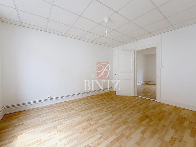 Location Appartement Rue de Haguenau, Schiltigheim