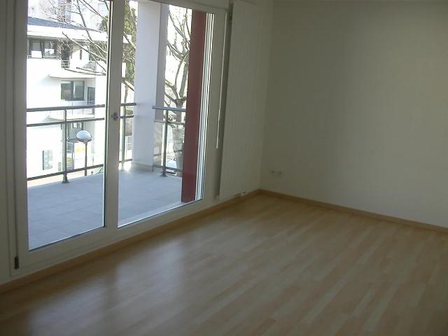 Location Appartement Rue de la Houblonnière, Colmar