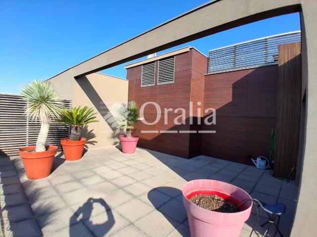 Location Appartement Rue de la Madeleine, Montpellier