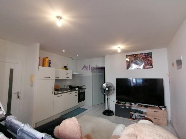 Location Appartement Rue de la Mandoune, Montauban