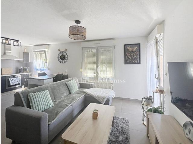 Location Appartement Rue de la Passerelle, Lutterbach