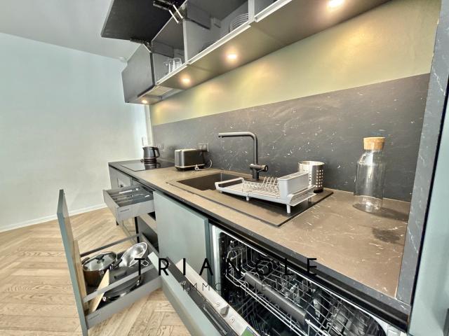 Location Appartement Rue de la Ziegelau, Strasbourg