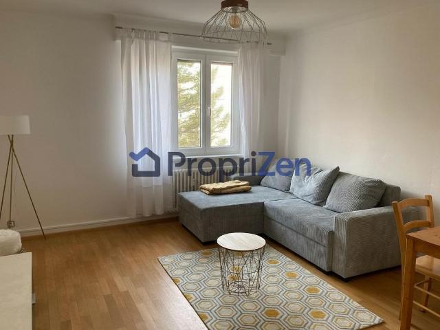 Location Appartement Rue de l'Est, Colmar