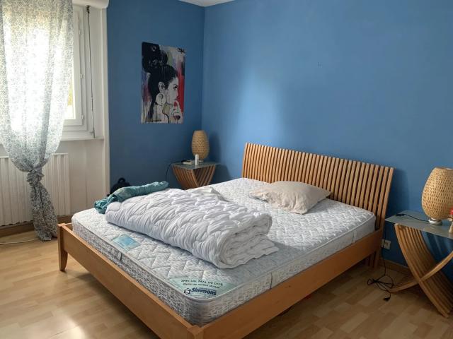 Location Appartement Rue de Meyrin, Ferney Voltaire