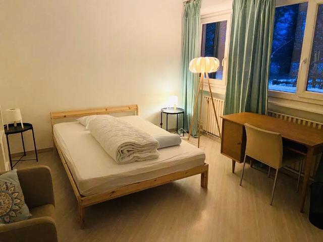 Location Appartement Rue de Meyrin, Ferney Voltaire
