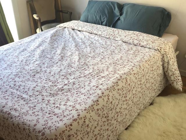 Location Appartement Rue des Mûriers, Villeurbanne