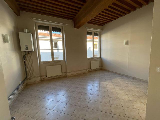 Location Appartement Rue des Marronniers, Lyon