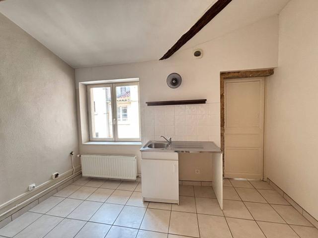 Location Appartement Rue des Marronniers, Lyon