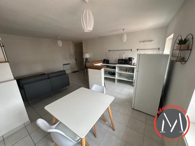 Location Appartement Rue des Marronniers, Lyon