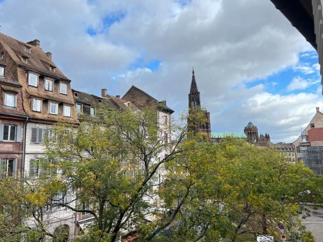 Location Appartement Rue des Bouchers, Strasbourg