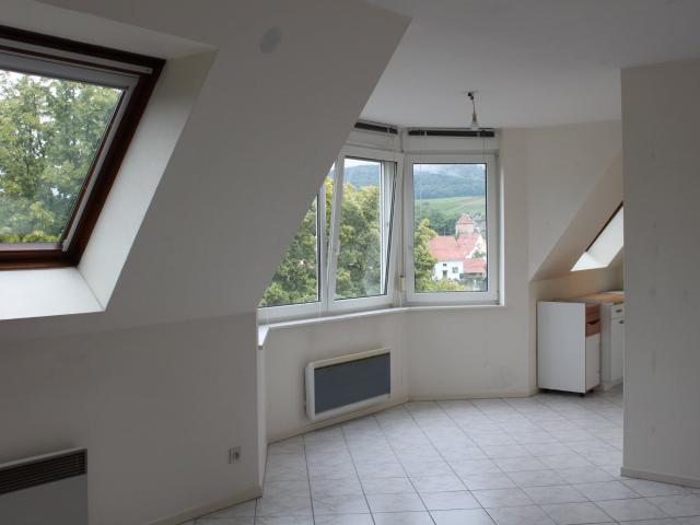 Location Appartement Rue des Fleurs, Wissembourg