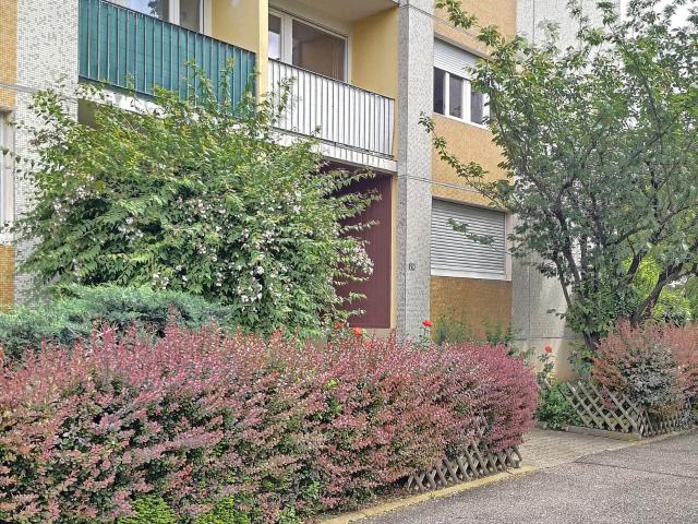 Location Appartement Rue des Juifs, Richwiller