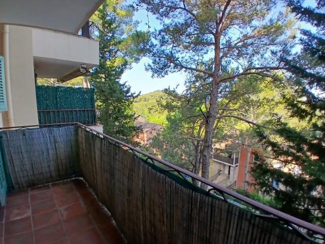 Location Appartement Rue des Petits Ponts, Mougins