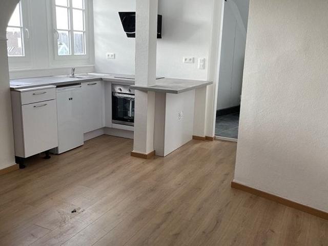 Location Appartement Rue des Pontonniers, Strasbourg