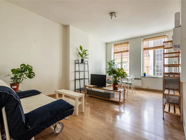 Location Appartement Rue des Postes, Lille