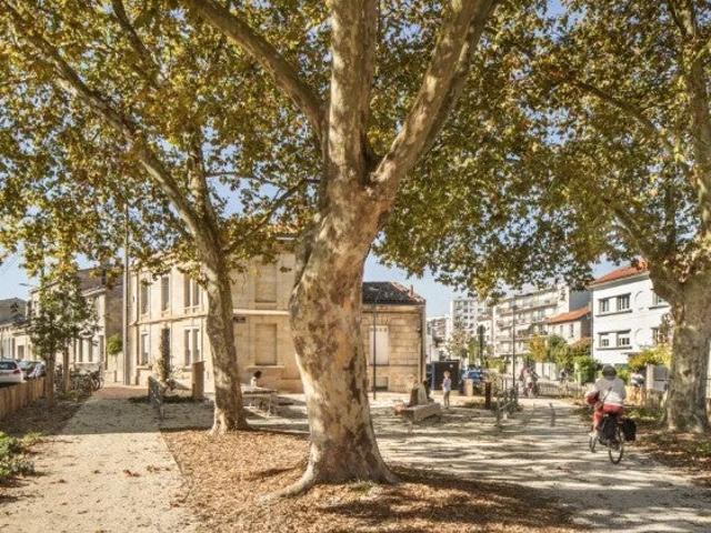 Location Appartement Rue des Treilles, Libourne