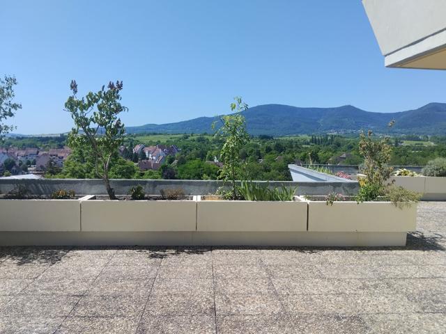 Location Appartement Rue Dietrich, Obernai