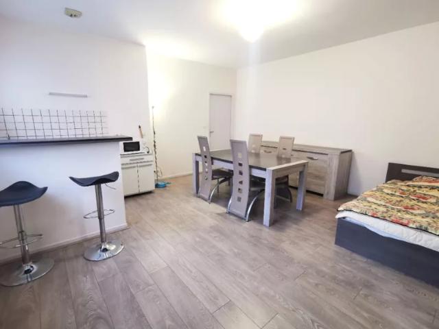 Location Appartement Rue du Chemin Bleu, Strasbourg