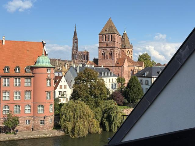 Location Appartement Rue du Bain Finkwiller, Strasbourg