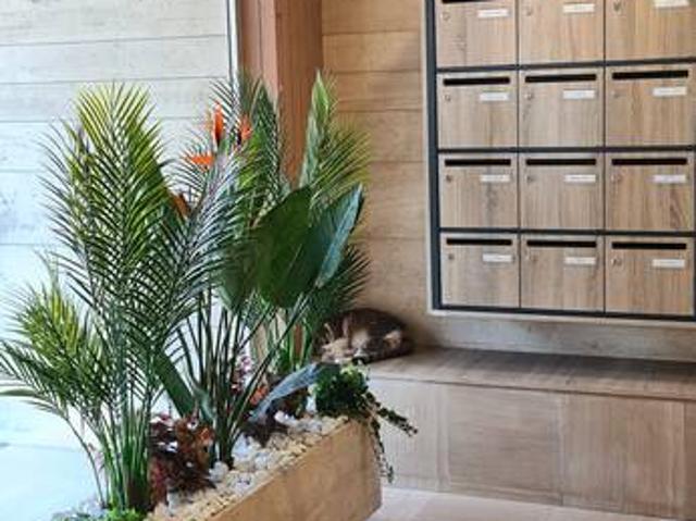 Location Appartement Rue du Berceau, Marseille