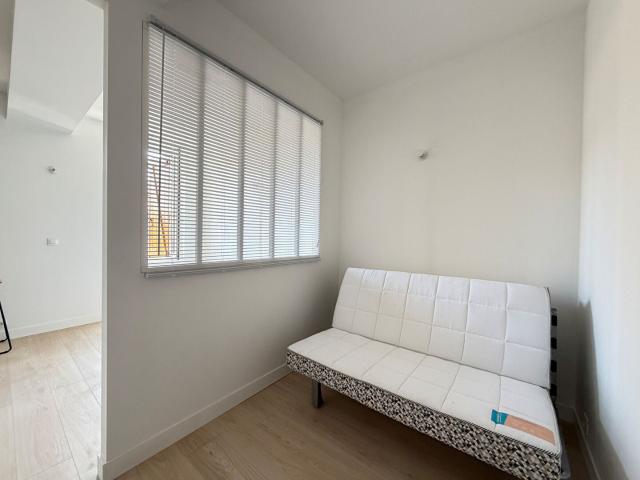 Location Appartement Rue du Docteur Laurent Camboulives, Albi