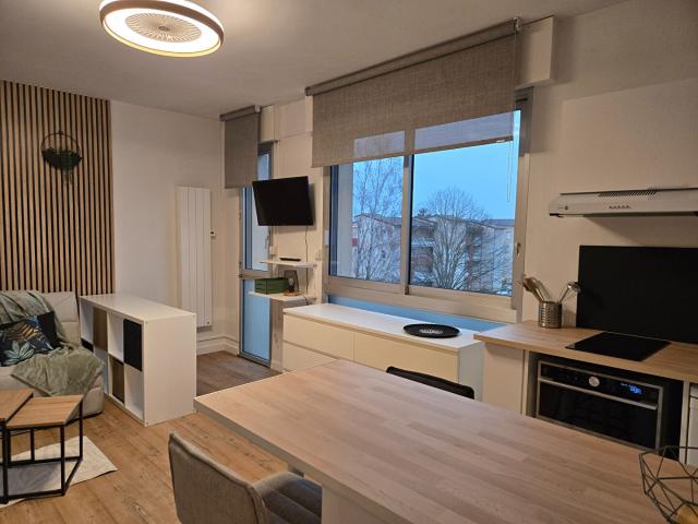 Location Appartement Rue du Docteur Laurent Camboulives, Albi