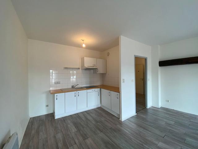 Location Appartement Rue du Docteur Laurent Camboulives, Albi