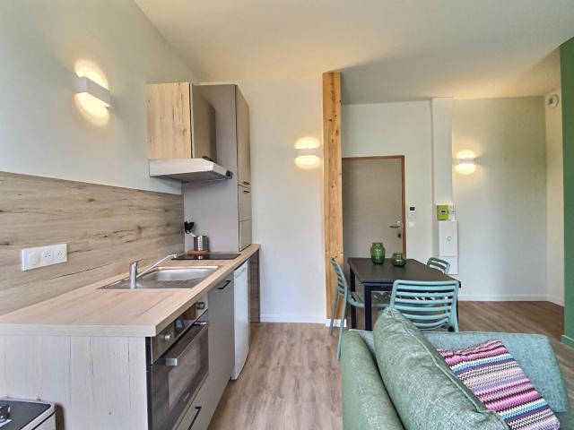 Location Appartement Rue du Docteur Laurent Camboulives, Albi