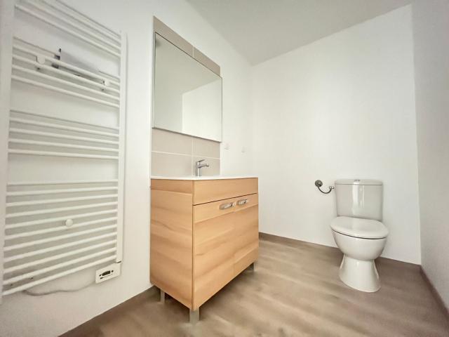 Location Appartement Rue du Docteur Laurent Camboulives, Albi