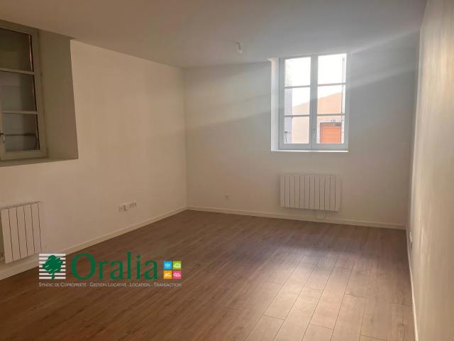 Location Appartement Rue du Faucon, Villefranche sur Saône