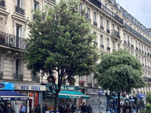 Location Appartement Rue du Faubourg Saint Denis, Paris