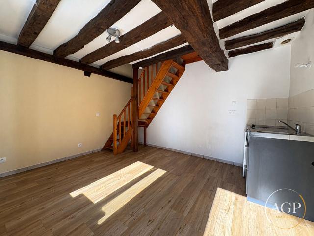 Location Appartement Rue du Faubourg Saint Vincent, Orléans