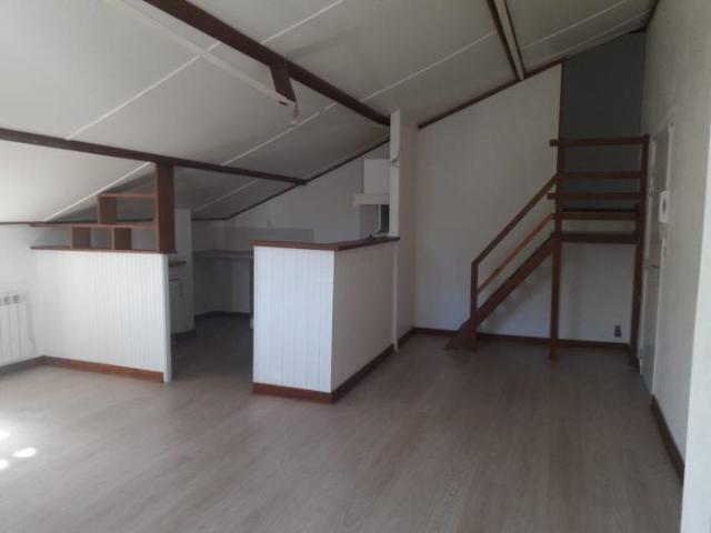 Location Appartement Rue du Moulin Saint Léger, Chauvigny