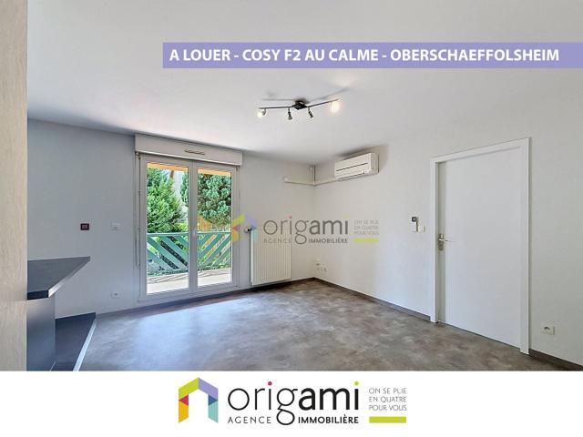 Location Appartement Rue du Maréchal Foch, Lingolsheim