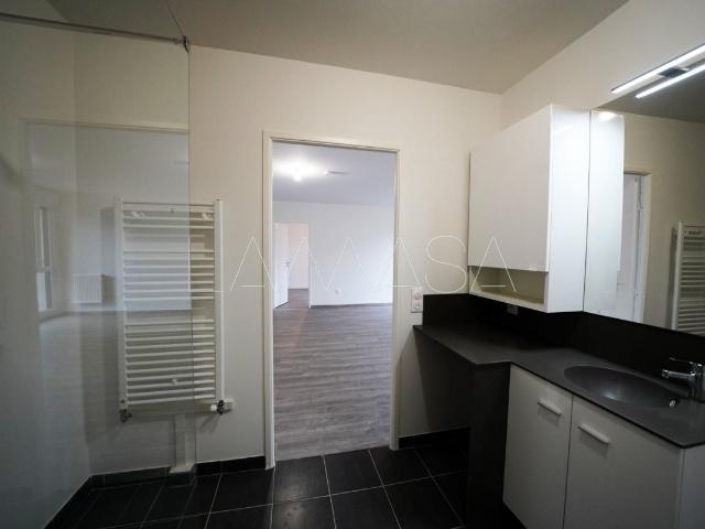 Location Appartement Rue du Professeur Christian Cabrol, Lagny sur Marne