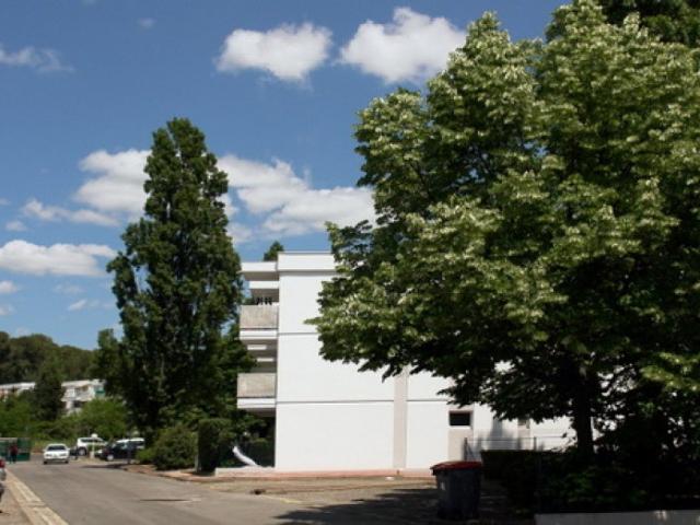 Location Appartement Rue du Professeur Joseph Anglada, Montpellier