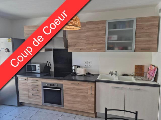 Location Appartement Rue du Professeur Joseph Nicolas, Lyon