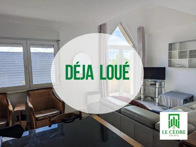 Location Appartement Rue du Rhin, Blotzheim