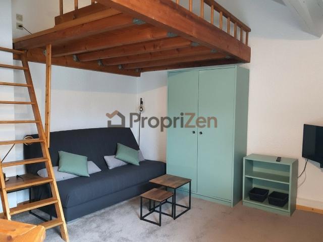 Location Appartement Rue Filaterie, Annecy