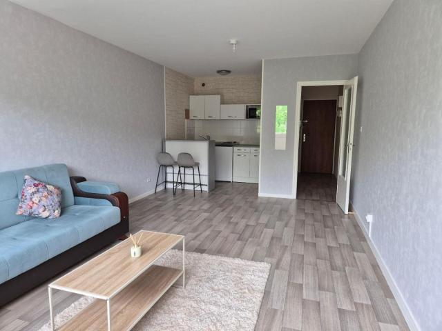 Location Appartement Rue Henri Dunant, Oyonnax