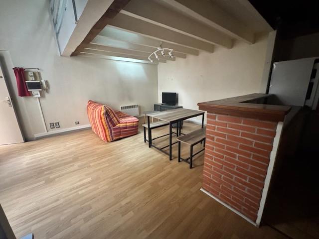 Location Appartement Rue Henri Tagnères, Toulouse