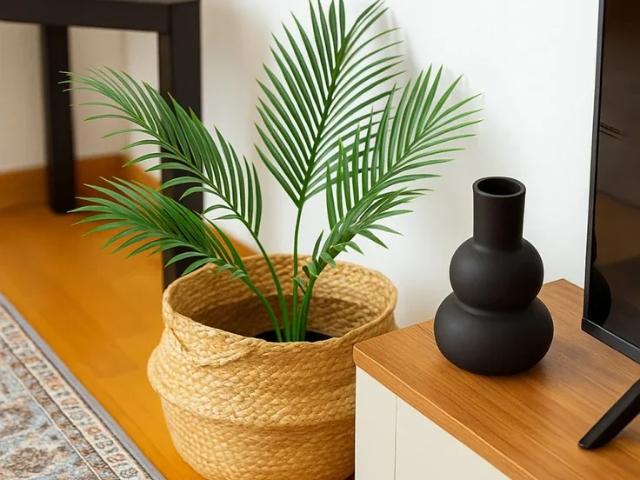 Location Appartement Rue Jules Simon, Paris