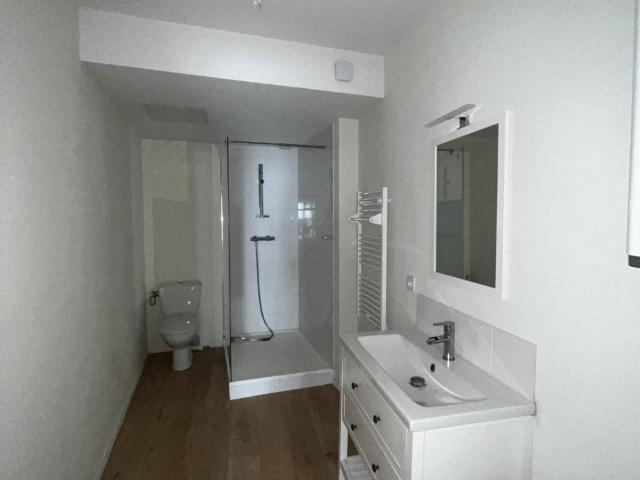 Location Appartement Rue Louis Braille, Saint Étienne