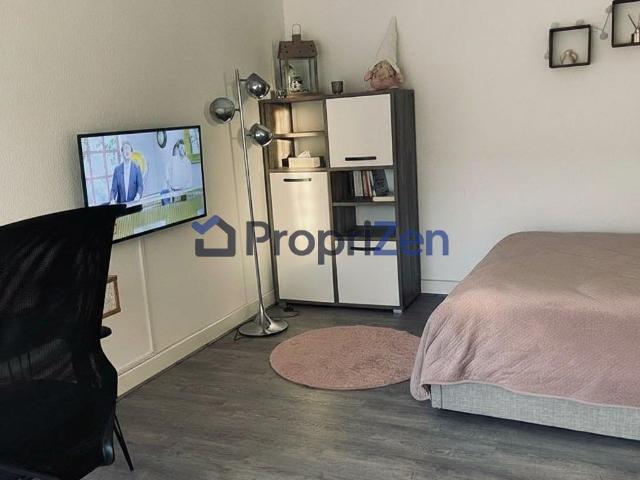 Location Appartement Rue Léon Ungemach, Schiltigheim