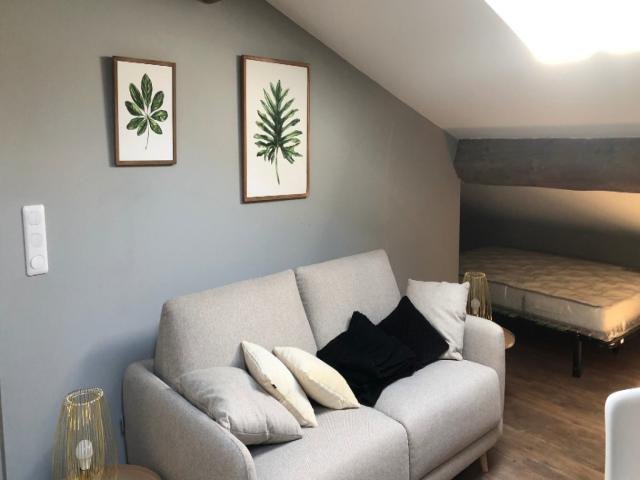 Location Appartement Rue Marius Gonin, Lyon