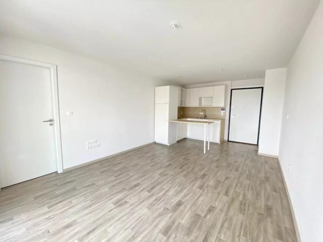 Location Appartement Rue Saglio, Strasbourg